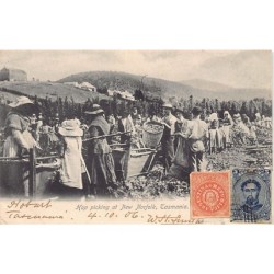 Rare collectable postcards of Australia. Vintage Postcards of Australia