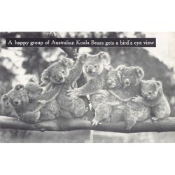 Rare collectable postcards of Australia. Vintage Postcards of Australia