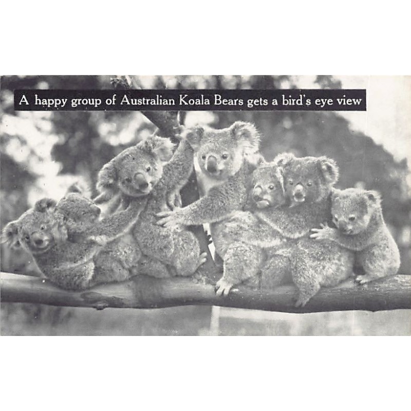 Rare collectable postcards of Australia. Vintage Postcards of Australia