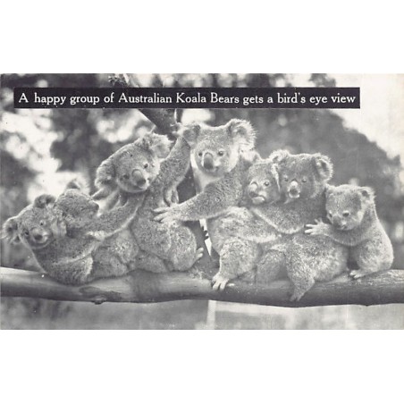 Rare collectable postcards of Australia. Vintage Postcards of Australia