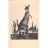 Rare collectable postcards of Australia. Vintage Postcards of Australia