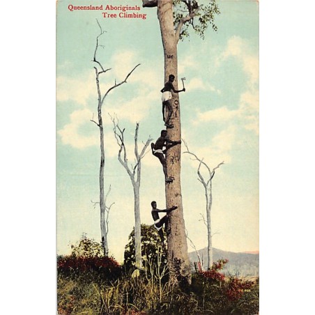 Rare collectable postcards of Australia. Vintage Postcards of Australia