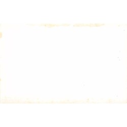 Rare collectable postcards of New Zealand. Vintage Postcards of New Zealand