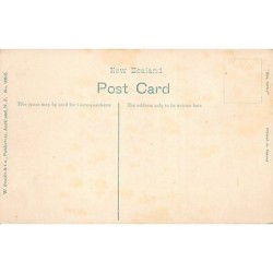 Rare collectable postcards of New Zealand. Vintage Postcards of New Zealand