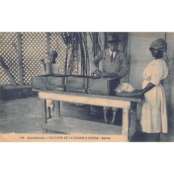 Rare collectable postcards of Guadeloupe. Vintage Postcards of Guadeloupe