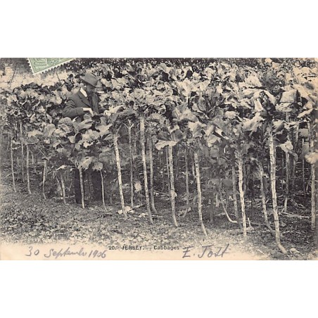 Rare collectable postcards of United Kingdom - Jersey. Vintage Postcards of United Kingdom - Jersey