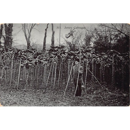 Rare collectable postcards of United Kingdom - Jersey. Vintage Postcards of United Kingdom - Jersey