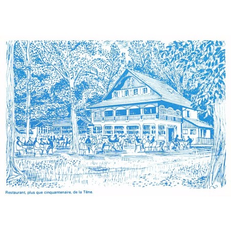 Rare collectable postcards of Switzerland. Vintage Postcards of Switzerland