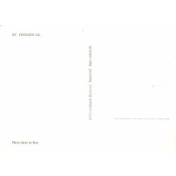 Rare collectable postcards of Switzerland. Vintage Postcards of Switzerland