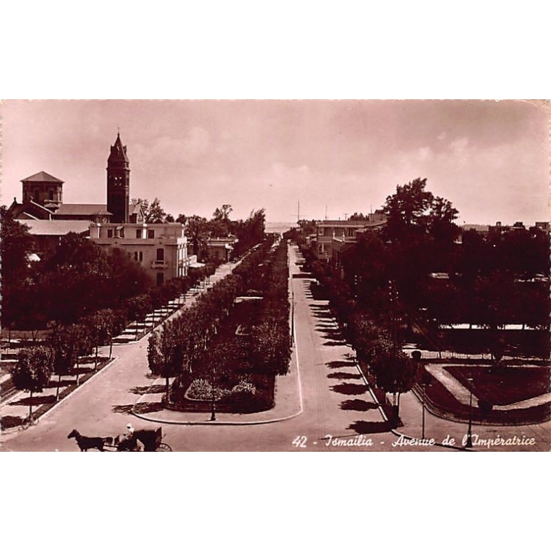 Rare collectable postcards of Egypt. Vintage Postcards of Egypt