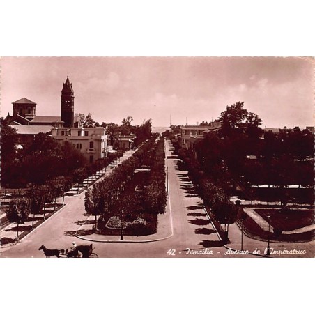 Rare collectable postcards of Egypt. Vintage Postcards of Egypt