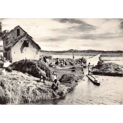 Rare collectable postcards of Madagascar. Vintage Postcards of Madagascar