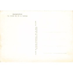 Rare collectable postcards of Madagascar. Vintage Postcards of Madagascar