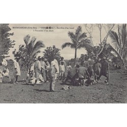 Rare collectable postcards of Madagascar. Vintage Postcards of Madagascar