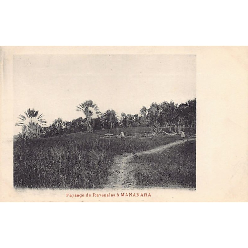 Rare collectable postcards of Madagascar. Vintage Postcards of Madagascar