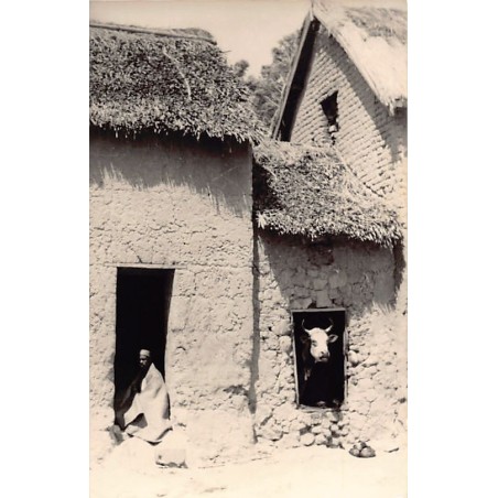 Rare collectable postcards of Madagascar. Vintage Postcards of Madagascar