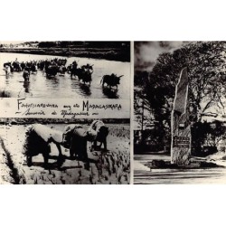 Rare collectable postcards of Madagascar. Vintage Postcards of Madagascar