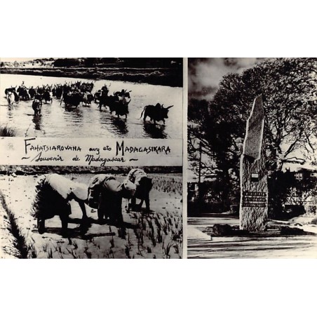 Rare collectable postcards of Madagascar. Vintage Postcards of Madagascar