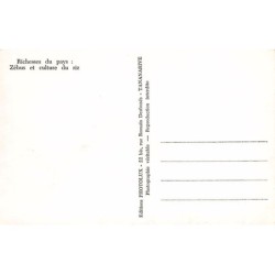 Rare collectable postcards of Madagascar. Vintage Postcards of Madagascar