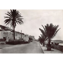 Rare collectable postcards of Morocco. Vintage Postcards of Morocco