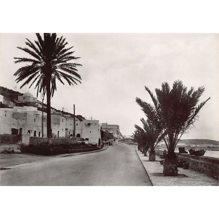 Rare collectable postcards of Morocco. Vintage Postcards of Morocco