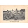 Rare collectable postcards of Morocco. Vintage Postcards of Morocco