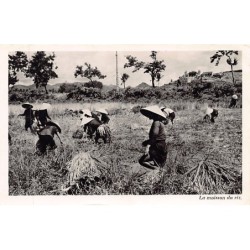 Rare collectable postcards of Vietnam. Vintage Postcards of Vietnam