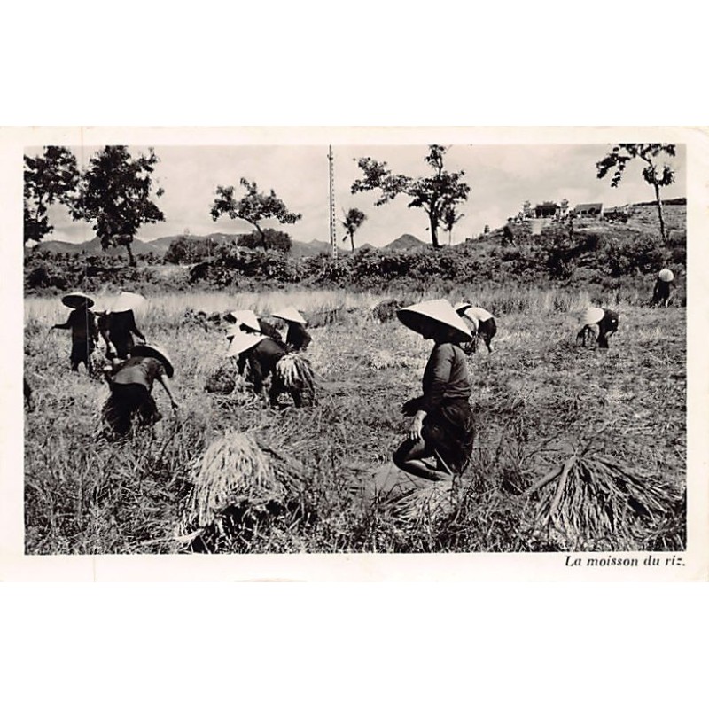 Rare collectable postcards of Vietnam. Vintage Postcards of Vietnam