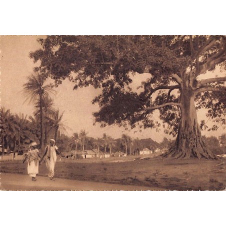 Rare collectable postcards of Guinea (Conakry). Vintage Postcards of Guinea (Conakry)