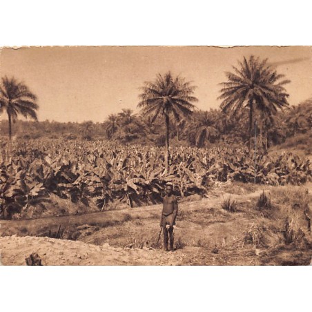 Rare collectable postcards of Guinea (Conakry). Vintage Postcards of Guinea (Conakry)