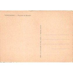 Rare collectable postcards of Guinea (Conakry). Vintage Postcards of Guinea (Conakry)