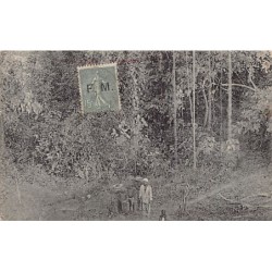 Rare collectable postcards of Guinea (Conakry). Vintage Postcards of Guinea (Conakry)