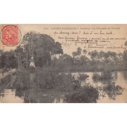 Rare collectable postcards of Guinea (Conakry). Vintage Postcards of Guinea (Conakry)