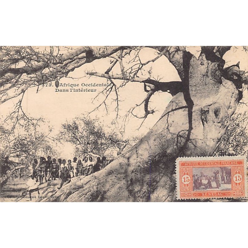 Rare collectable postcards of Senegal. Vintage Postcards of Senegal