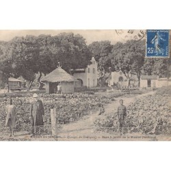 Rare collectable postcards of Senegal. Vintage Postcards of Senegal