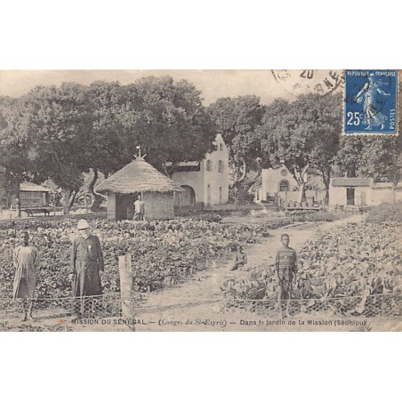 Rare collectable postcards of Senegal. Vintage Postcards of Senegal