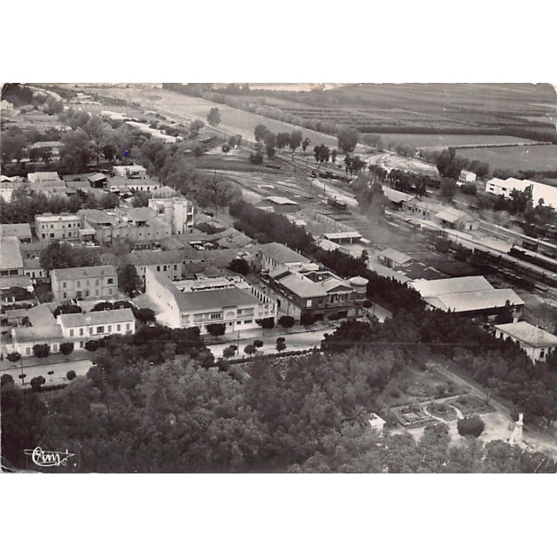 Rare collectable postcards of Algeria. Vintage Postcards of Algeria