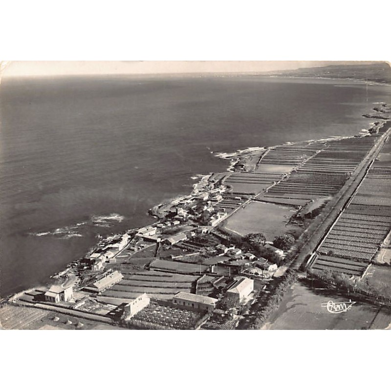 Rare collectable postcards of Algeria. Vintage Postcards of Algeria