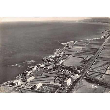 Rare collectable postcards of Algeria. Vintage Postcards of Algeria