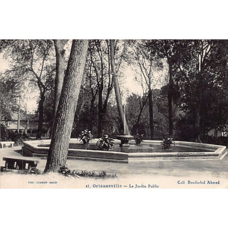 Rare collectable postcards of Algeria. Vintage Postcards of Algeria