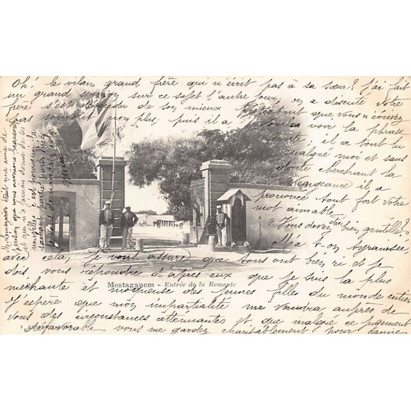 Rare collectable postcards of Algeria. Vintage Postcards of Algeria