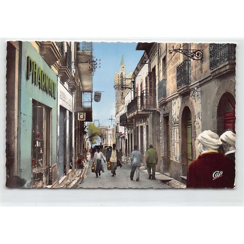 Rare collectable postcards of Algeria. Vintage Postcards of Algeria