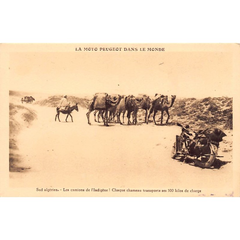 Rare collectable postcards of Algeria. Vintage Postcards of Algeria