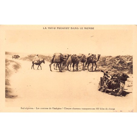 Rare collectable postcards of Algeria. Vintage Postcards of Algeria