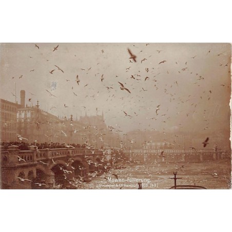 Rare collectable postcards of Germany. Vintage Postcards of Germany