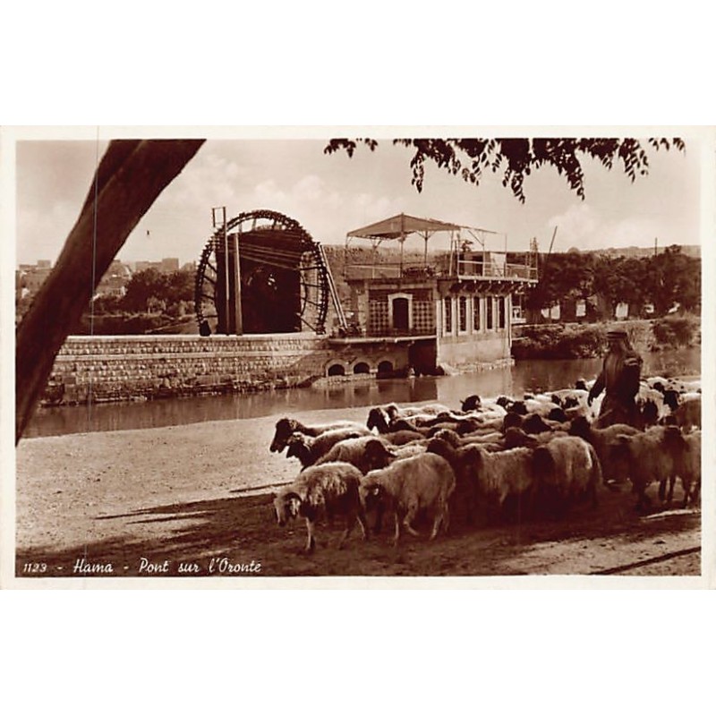 Rare collectable postcards of ETHNIC NUDE. Vintage Postcards of ETHNIC NUDE