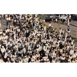 Rare collectable postcards of Martinique. Vintage Postcards of Martinique