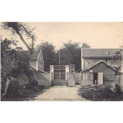 Rare collectable postcards of Martinique. Vintage Postcards of Martinique