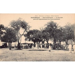 Rare collectable postcards of Martinique. Vintage Postcards of Martinique