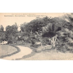 Rare collectable postcards of Martinique. Vintage Postcards of Martinique